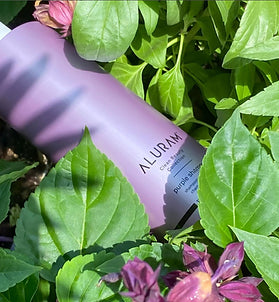Purple Shampoo