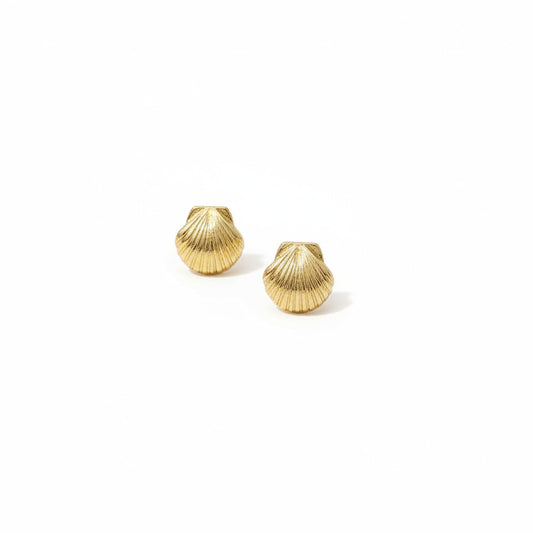 Gold shell-shaped earrings on a white surface.