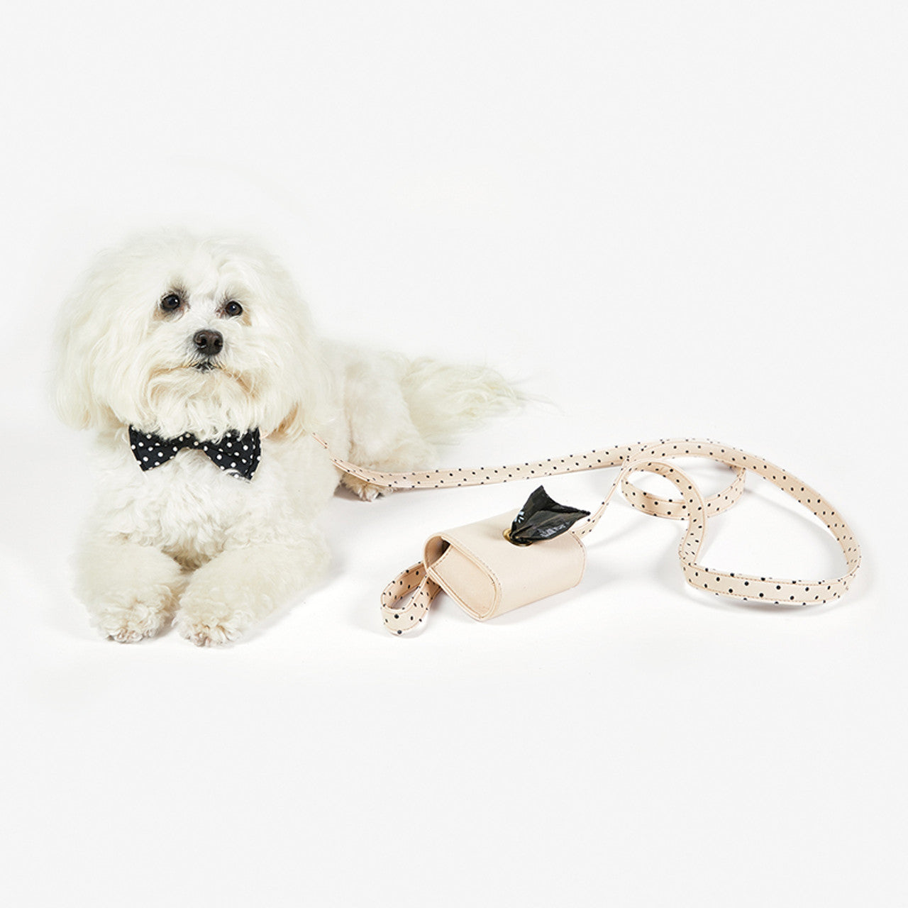 Pet Waste Bag Holder